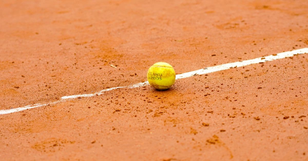 Novak Djokovic Joins General Atlantic as Advisor